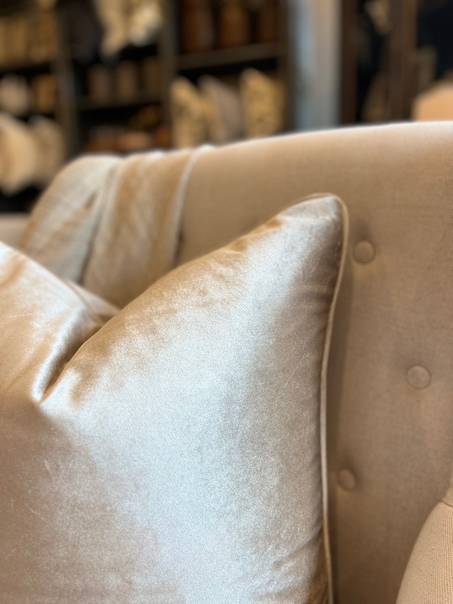 Champagne Velvet Cushion 55cm x 55cm