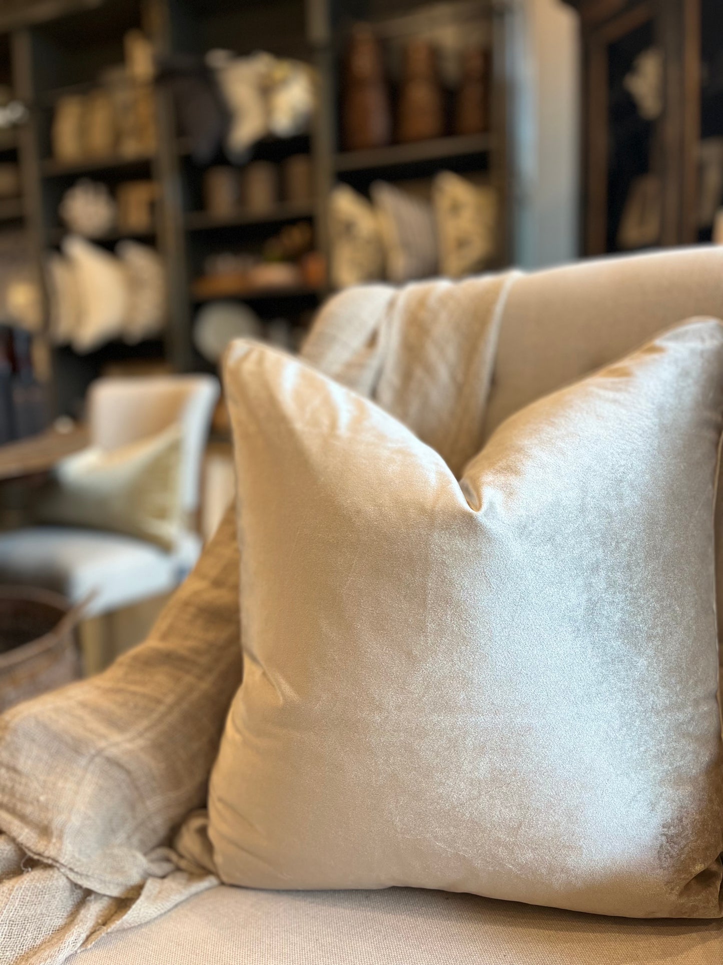 Champagne Velvet Cushion 55cm x 55cm