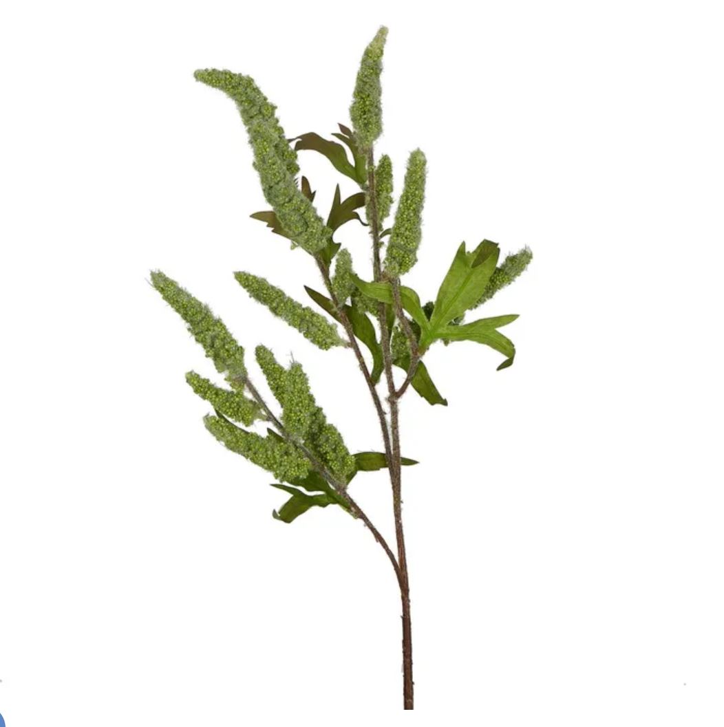 Green Sage Stem