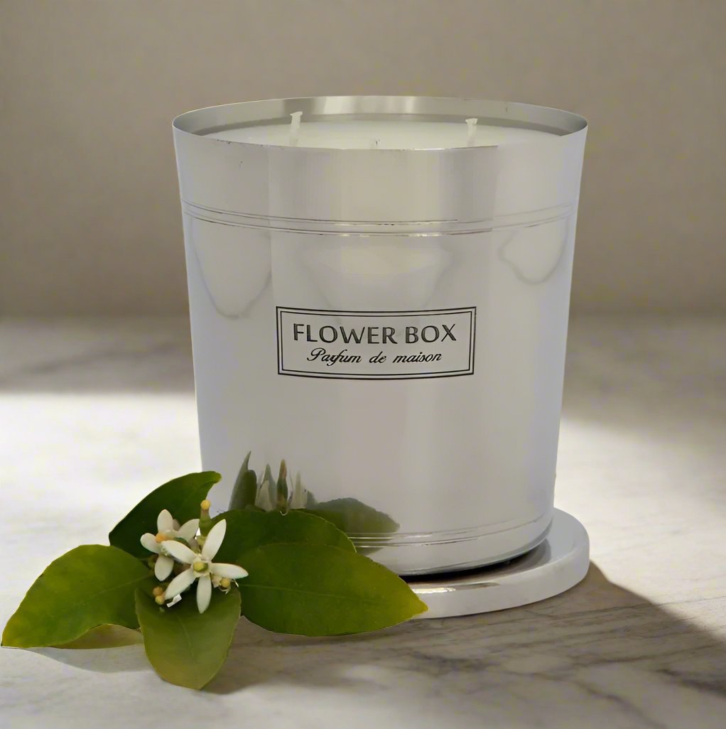 Fig Leaf & Cedar - Hallmark Candle - 1kg