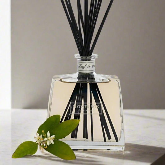 Experience the irresistible allure of our exquisite fragrance, a blend of Rosemary & Lemon bursting with fresh, invigorating notes that seamlessly transition to the captivating aroma of Fig Leaves. As the lingering scent of Orange Blossom emerges, it is complemented by the rich and comforting base of Cedar. Indulge in this unforgettable blend that will leave a lasting impression on the most discerning customers.
Enhance your interior design with the unrivalled presence of a Hallmark Diffuser