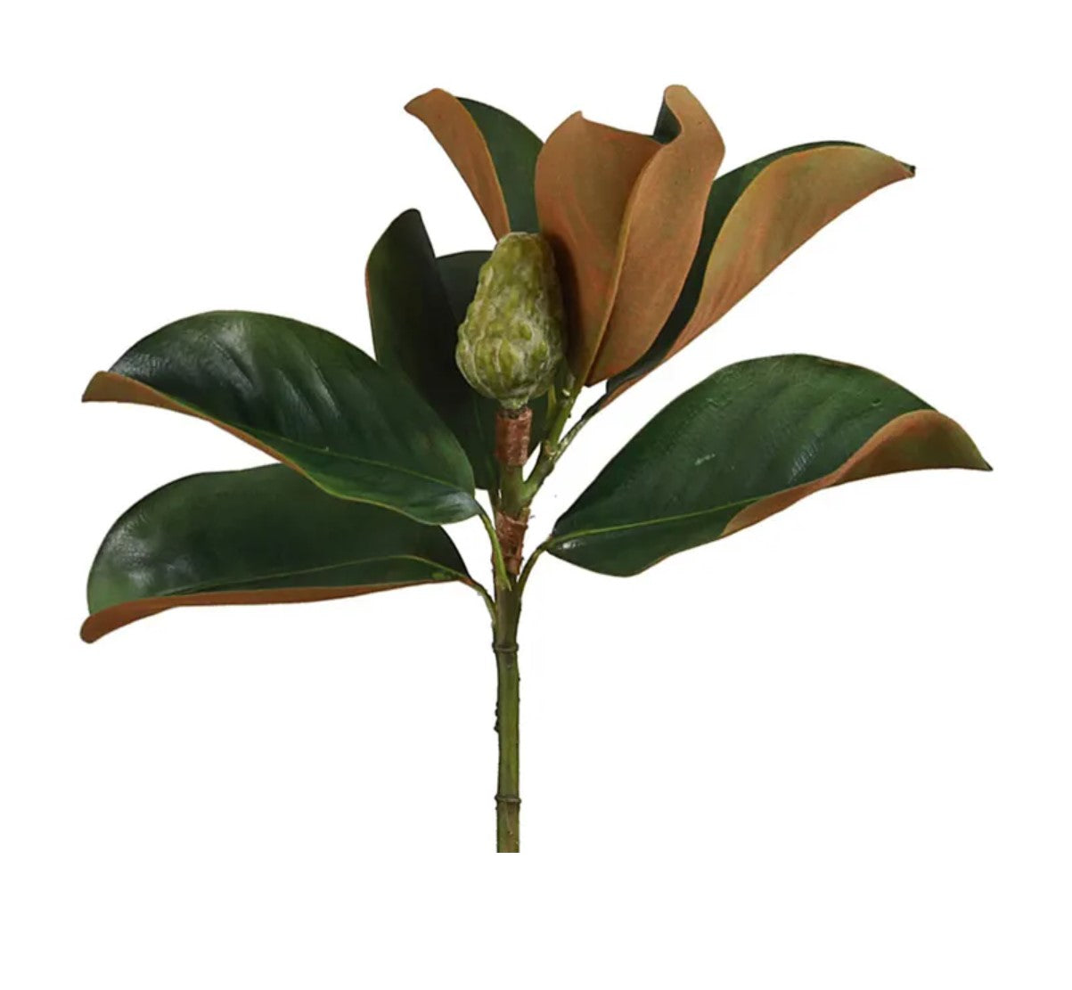 Faux Magnolia Bud Stem 60cm