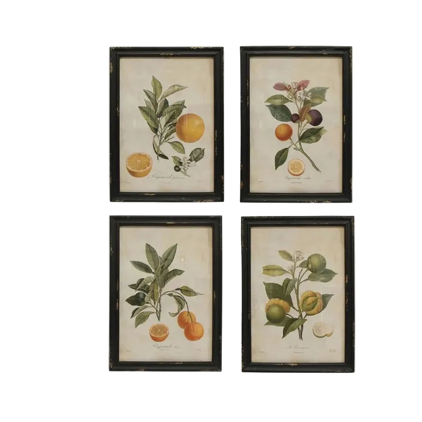 Botanical Wall Art - Set of 4