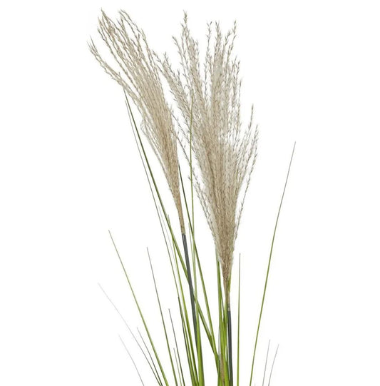 Decorative grass with beige and green leaves on a white background