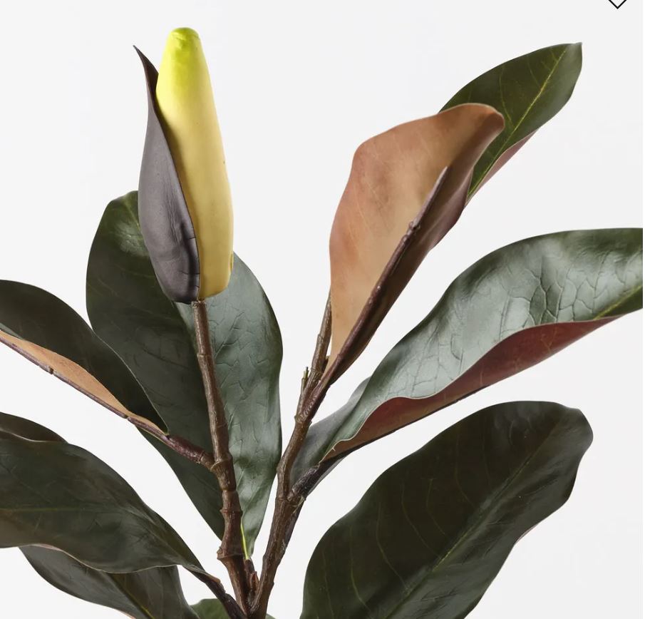 Magnolia Bud Leaf Spray