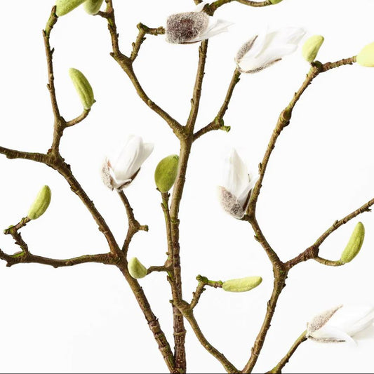 Magnolia Bud Spray - White