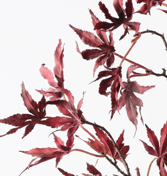 Burgundy Japanese Maple Leaf Spray