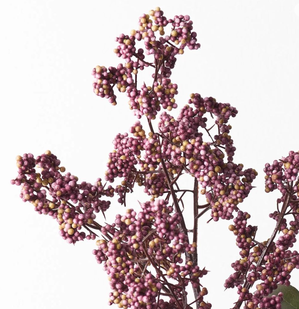 Berry Pepper Spray - Pink Burgundy