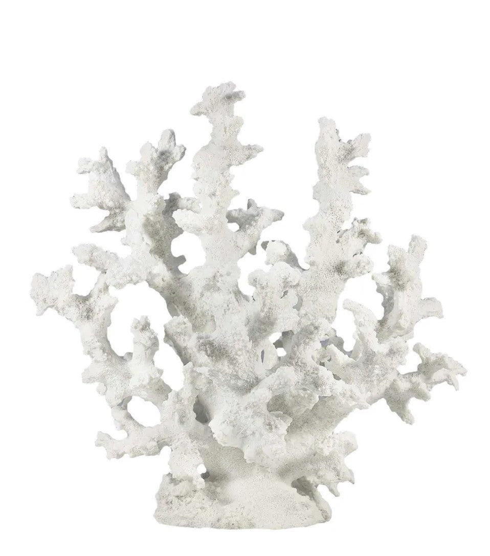 Discover a piece of the ocean inside your home with the Samudra Reef Coral Sculpture. Lovingly crafted with meticulous attention to detail, this polyresin sculpture features a realistic tree-like shape complete with pockmarks and crevices to bring the ocean atmosphere to your home. Enjoy the beauty of coral without harming the environment.