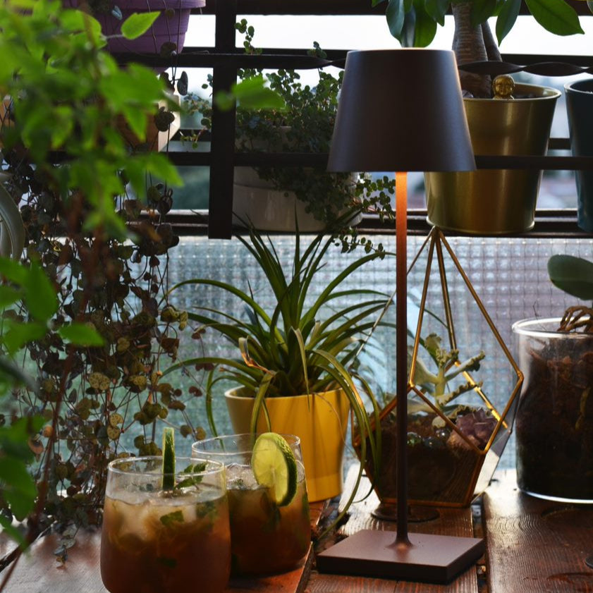Poldina Pro Touch Lamp - Corten - Special Order
