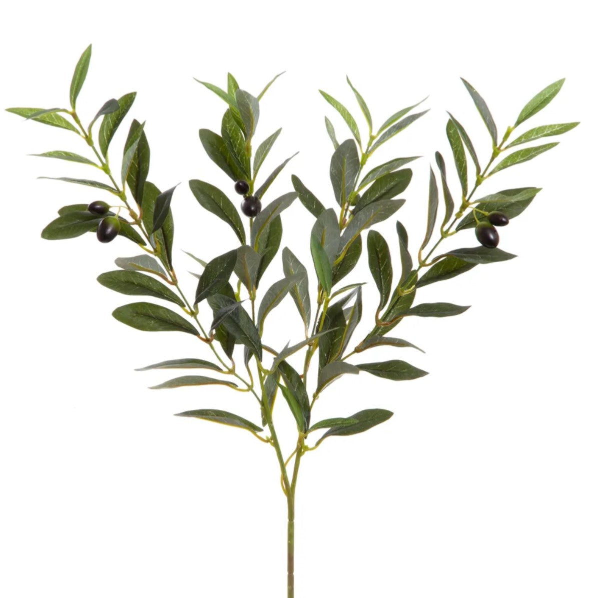 A classic symbol of tranquillity, our Faux Olive Branch adds a genuine feel to any space. Realistic foliage, stems, and branches will present a fresh look, even in the busiest of environments. Craft the perfect touch of green with our branch in a pot or vase, offering a timeless look for any area in your home.