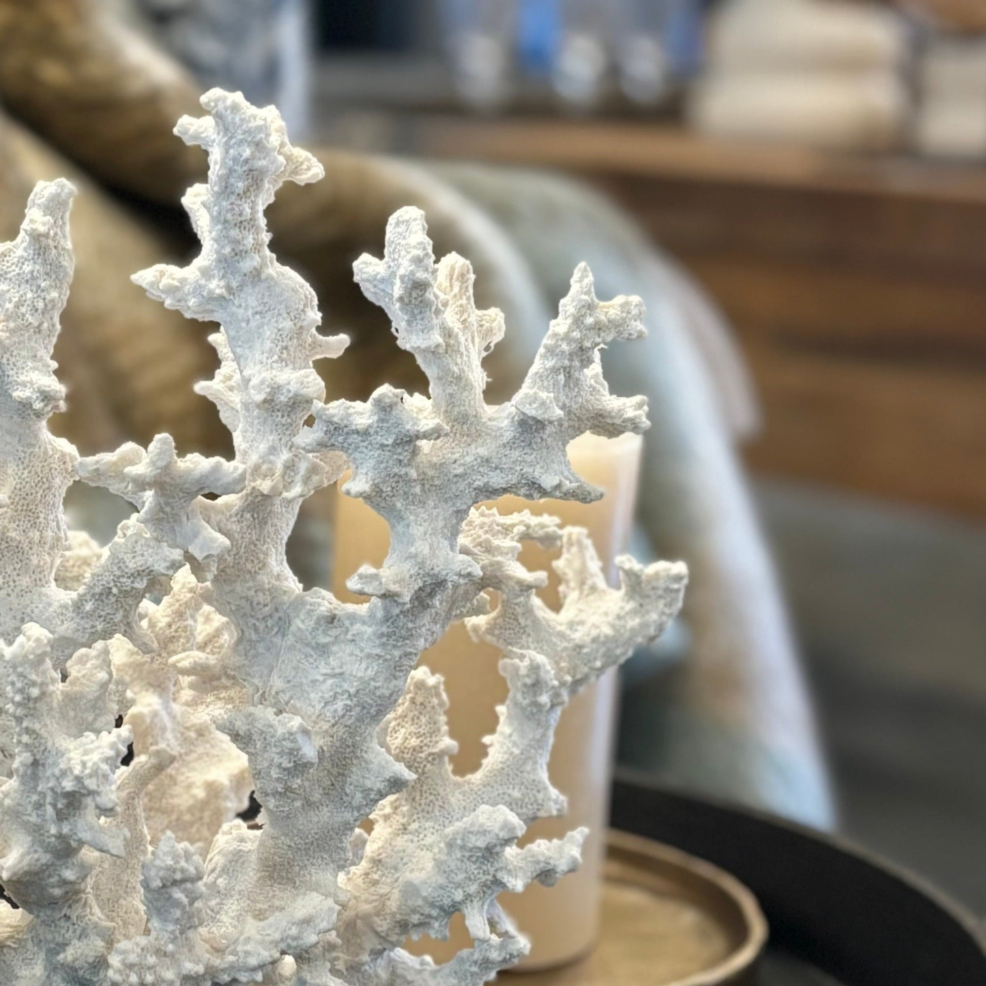 Discover a piece of the ocean inside your home with the Samudra Reef Coral Sculpture. Lovingly crafted with meticulous attention to detail, this polyresin sculpture features a realistic tree-like shape complete with pockmarks and crevices to bring the ocean atmosphere to your home. Enjoy the beauty of coral without harming the environment. Close up.