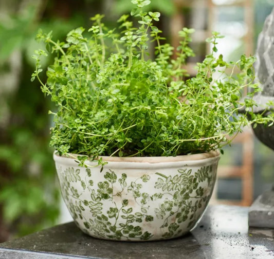 Experience the fresh ambiance of your indoor and outdoor spaces with the Green Botanical Print Pot. Lovingly crafted from stoneware and adorned with a delicate green botanical print, this pot exudes a natural charm that will surely uplift your surroundings. Front