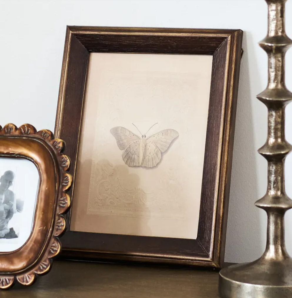 This 'Butterfly Study' is an eclectic addition to your wall art. These rich tones, layered textures, and a vintage-leaning palette give that 'collected' look.perfect for gallery walls, quiet corners, and rooms that crave character.
Dimensions: 20cm L x 2cm D x 25cm W