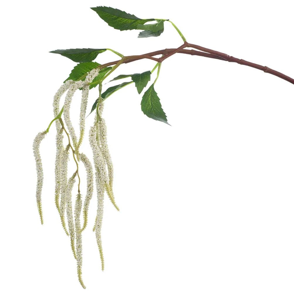 White Amaranthus Spray