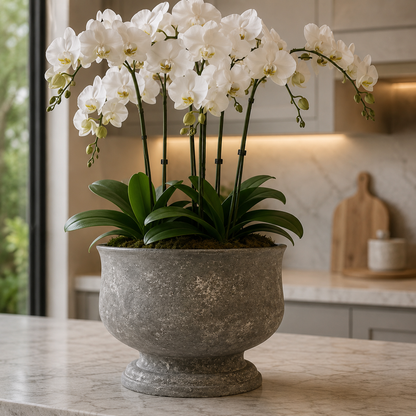 Odette Grey Pot - Small