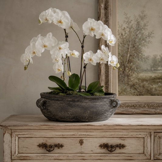 Delphi Dark Grey Distressed Terracotta Bowl