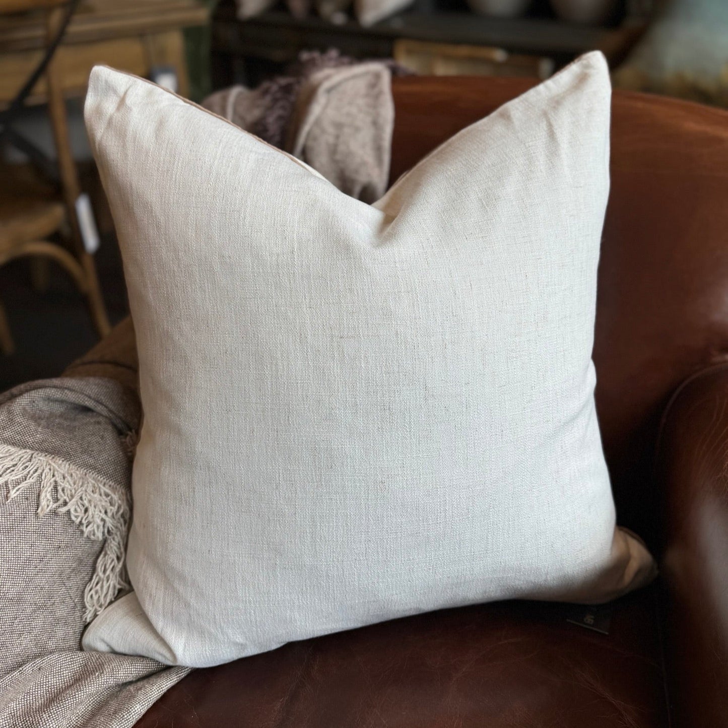 Grace Cushion 55cm x 55cm