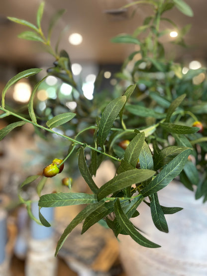 A classic symbol of tranquillity, our Faux Olive Branch adds a genuine feel to any space. Realistic foliage, stems, and branches will present a fresh look, even in the busiest of environments. Craft the perfect touch of green with our branch in a pot or vase, offering a timeless look for any area in your home. Close up.