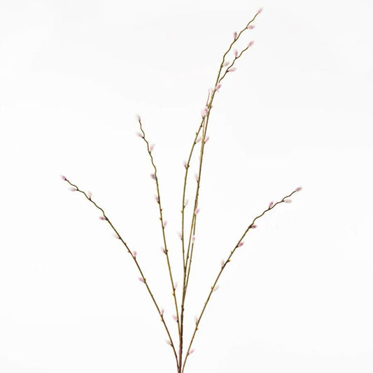 Branch with small pink buds on a white background