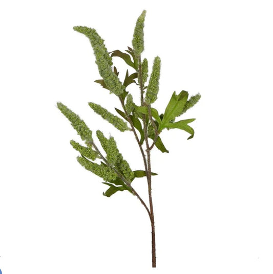 Green Sage Stem