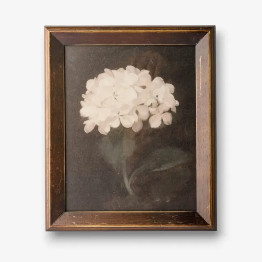 This 'Hydrangea' is part of a curated collection of moody, eclectic wall art. These rich tones, layered textures, and a vintage-leaning palette give that 'collected' look —perfect for gallery walls, quiet corners, and rooms that crave character.
Dimensions: 25cm L x 2cm D x 30cm H
