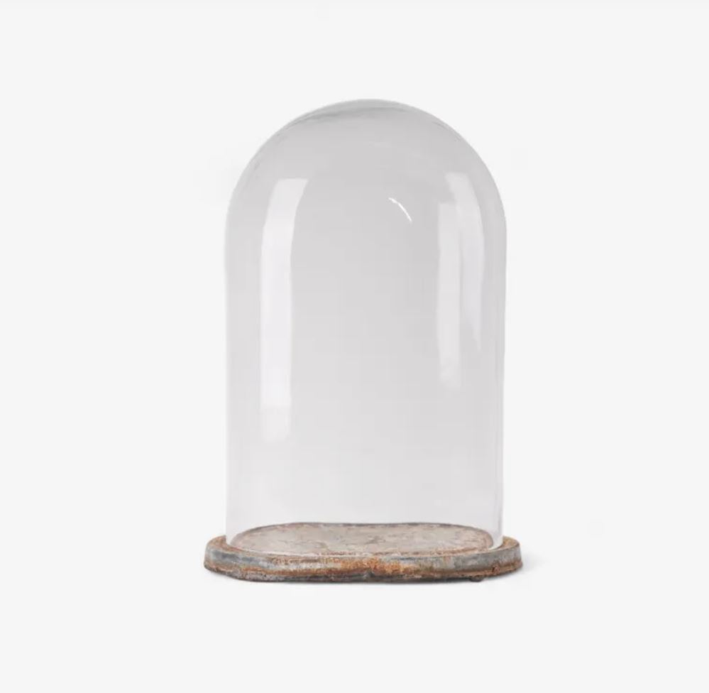 Clear glass dome with a rustic wooden base on a white background