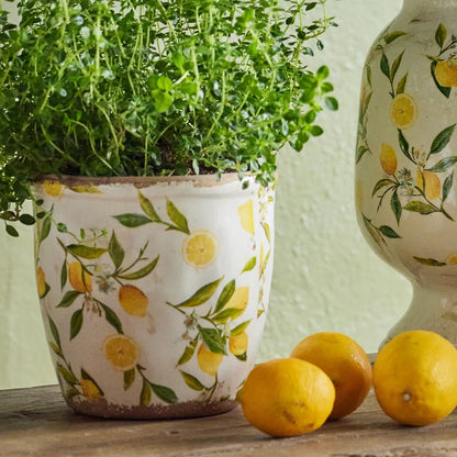 Two ceramic pots with planters featuring lemon designs on a wooden surface with lemons.