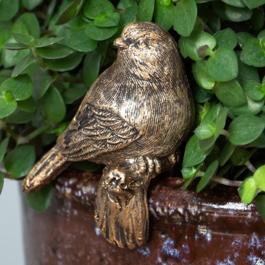 Bronze bird figurine on a pot with green plants