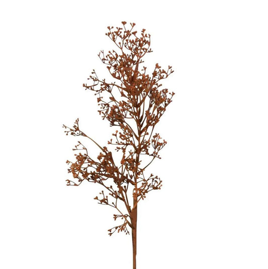 Dried Look Grass Seed Stem - 75cm