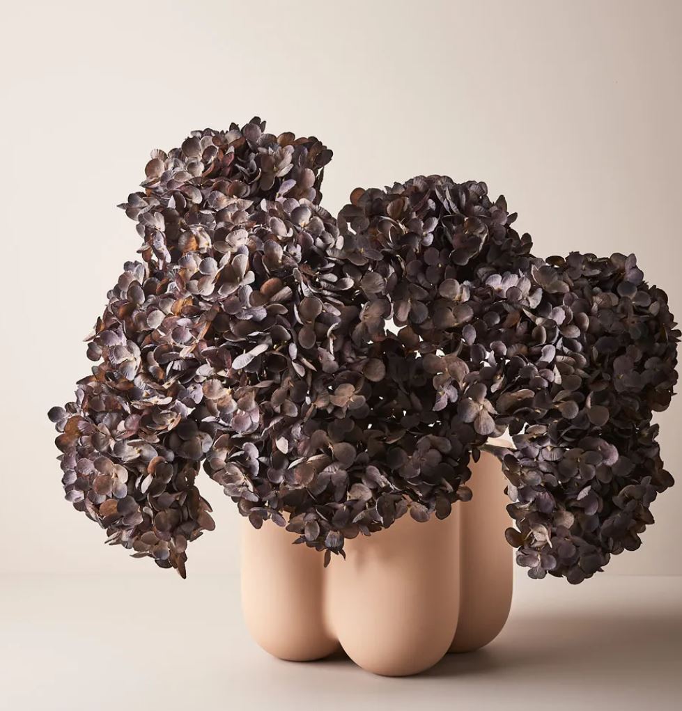 Artistic arrangement of dark purple flowers in a vase on a neutral background