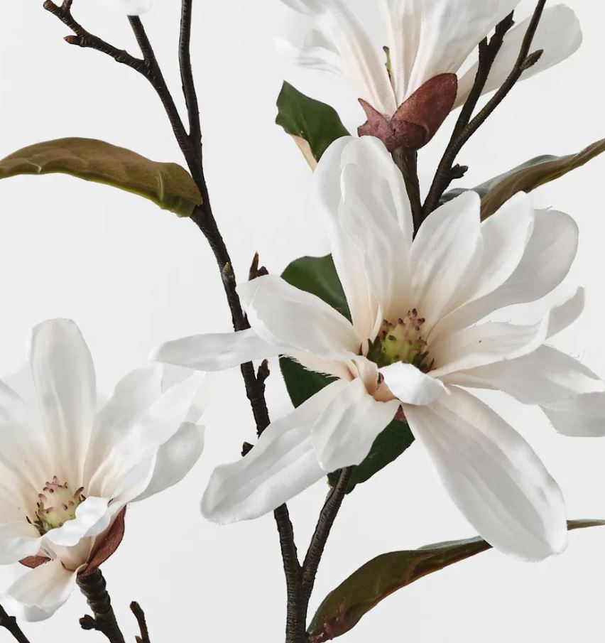 White Magnolia Tree Spray