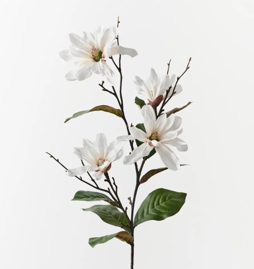 White Magnolia Tree Spray