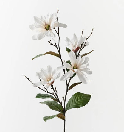 White Magnolia Tree Spray