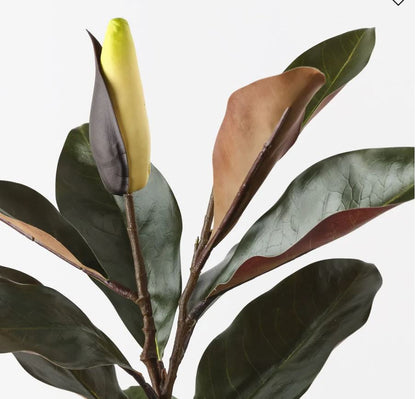 Magnolia Bud Leaf Spray