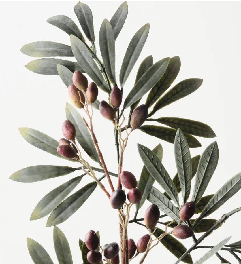 Olive Leaf With Fruit Spray