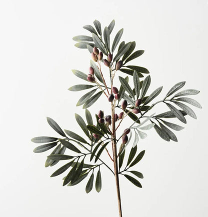Olive Leaf With Fruit Spray