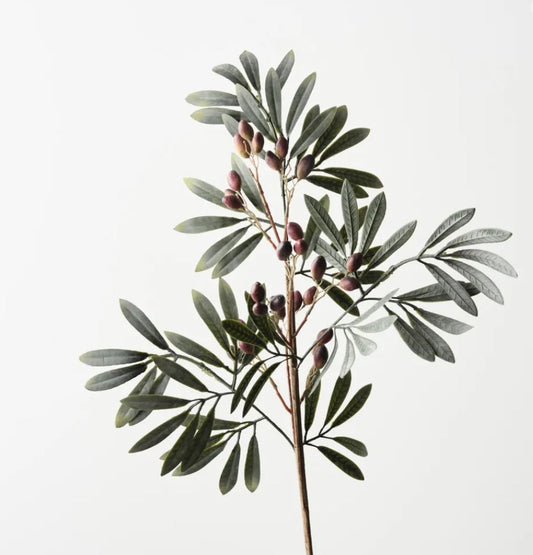 Olive Leaf With Fruit Spray