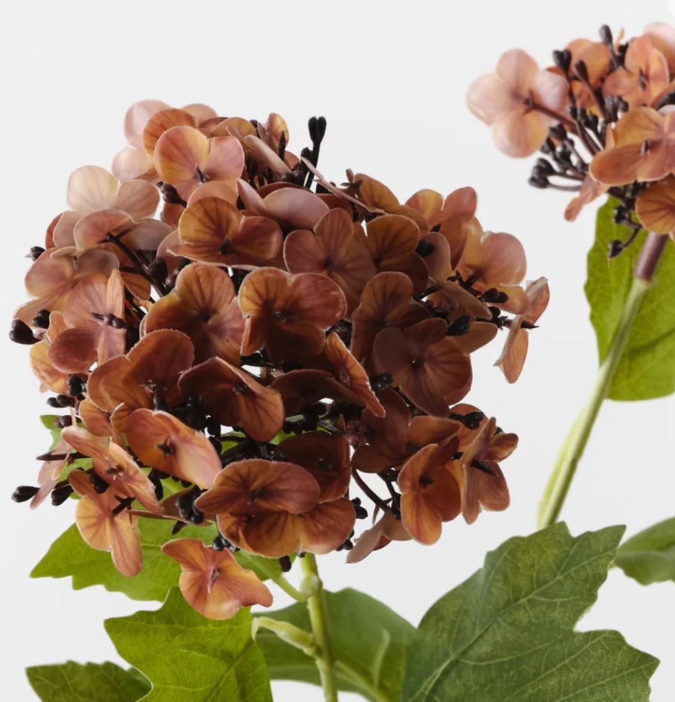 Burnt Orange Hydrangea Spray