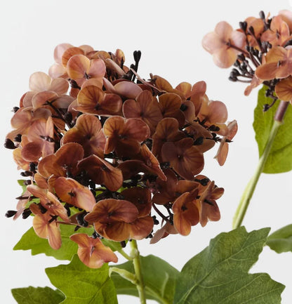 Burnt Orange Hydrangea Spray