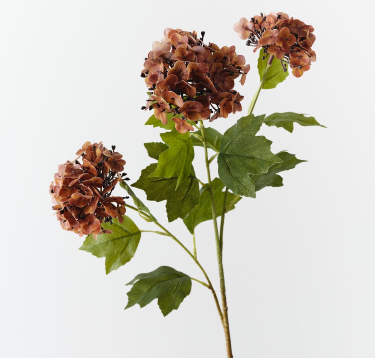 Burnt Orange Hydrangea Spray