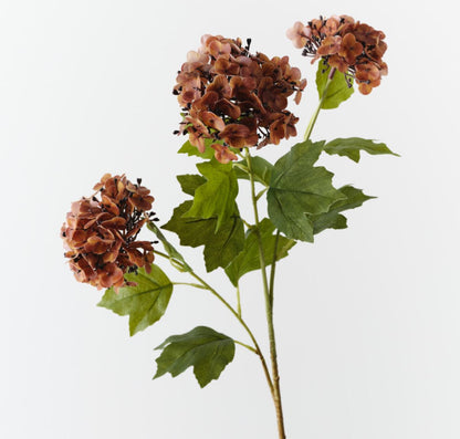 Burnt Orange Hydrangea Spray