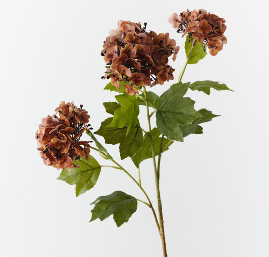 Burnt Orange Hydrangea Spray