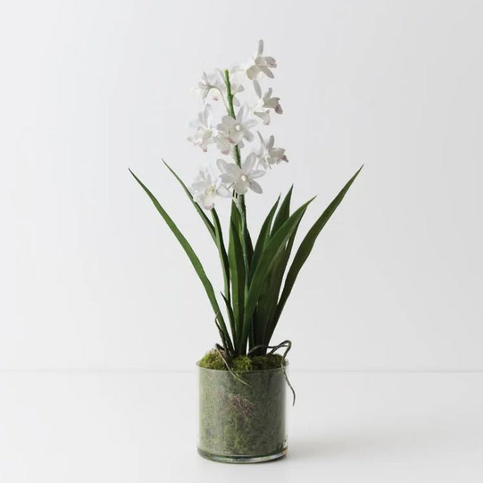 An artificial white hyacinth flower arrangement in a clear glass cylinder pot filled with green moss, set against a plain white background.