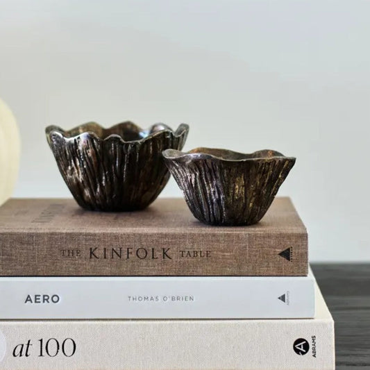 Two metallic bowls on top of books with a neutral background