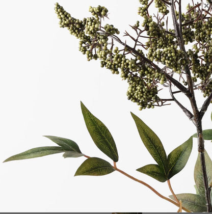 Close-up of green leaves and branches with small berries on a white background